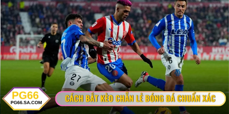 Cách Bắt Kèo Chẵn Lẻ Bóng Đá Chuẩn Xác 100% Cho Newbie